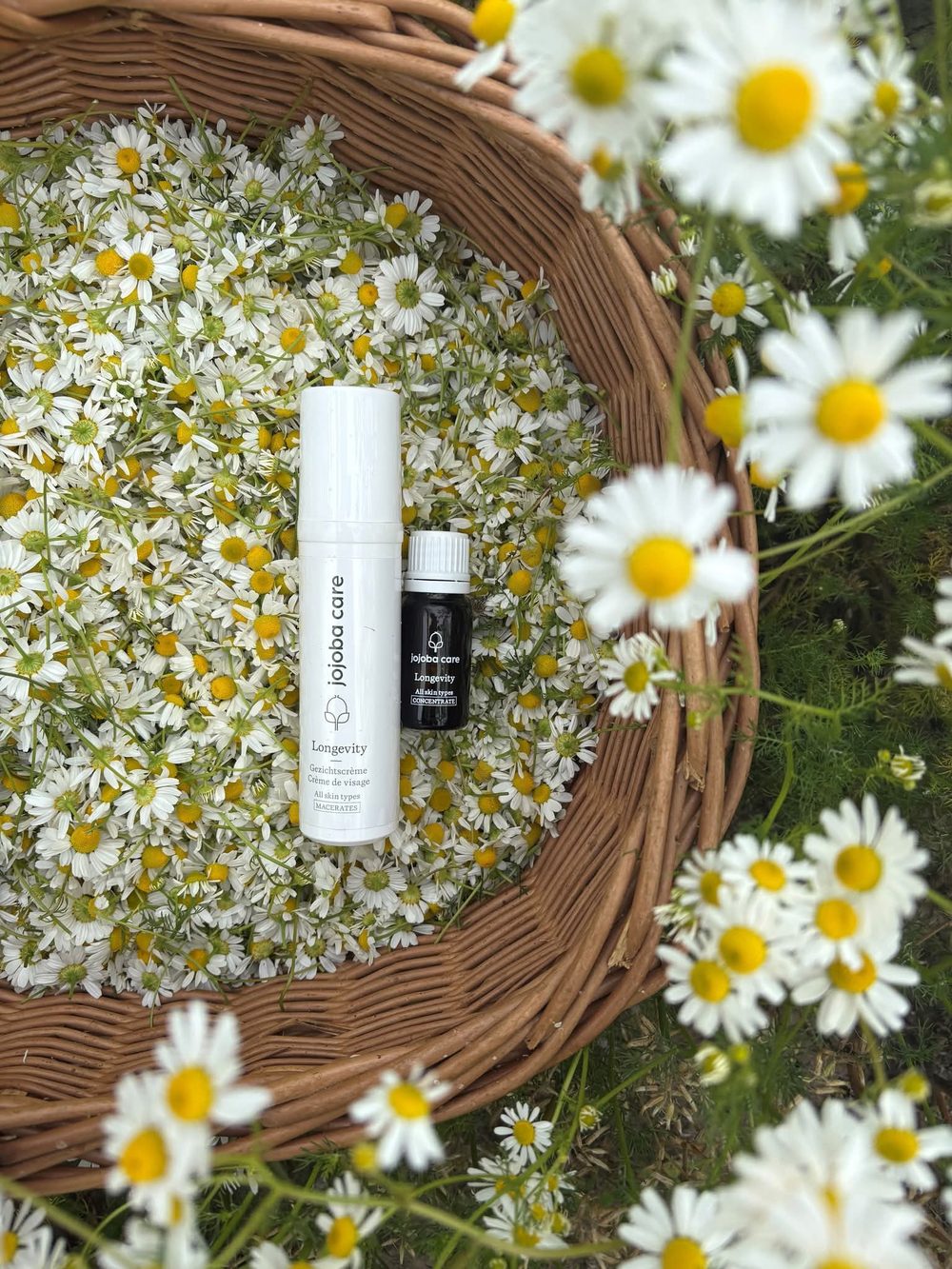 Jojoba Care-verzorgingsproducten in een mand met kamillebloemen